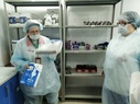 

В Клинической инфекционной больнице им. С.П. Боткина устранены нарушения санитарно-эпидемиологического режима рисунок
