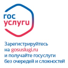 Единый портал государственных и муниципальных услуг image