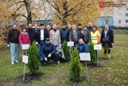 

Сотрудники Комитета по здравоохранению посадили деревья и убрали опавшую листву рисунок
