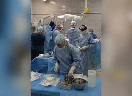 

В Санкт-Петербурге впервые выполнена трансплантация поджелудочной железы рисунок
