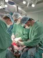 

Развитие кардиохирургической службы Санкт-Петербурга image
