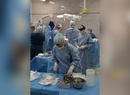 

В Санкт-Петербурге впервые выполнена трансплантация поджелудочной железы image
