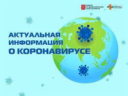 

В Санкт-Петербурге подтвержден пятый смертельный случай от новой коронавирусной инфекции image
