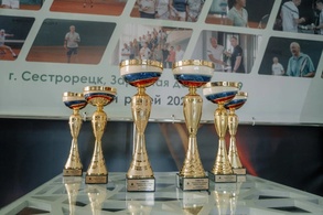

10 июня в Сестрорецке состоится XX юбилейный теннисный турнир "Кубок медика" рисунок
